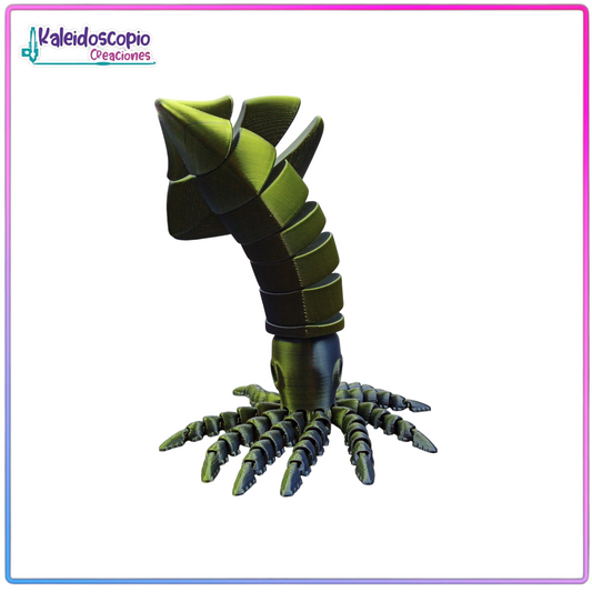 Calamar Tornasol - Flexy