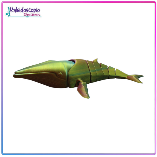 Ballena Jorobada Tornasol - Flexy