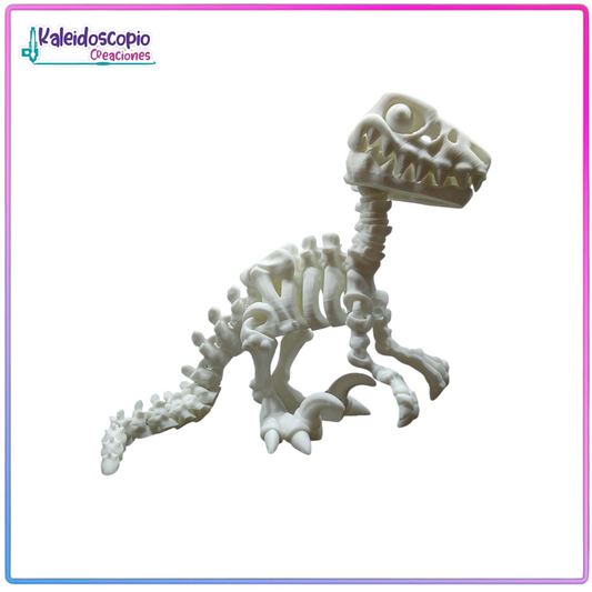 Esqueleto Velociraptor - Flexy
