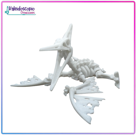 Pterodactylus Esqueleto - Flexy