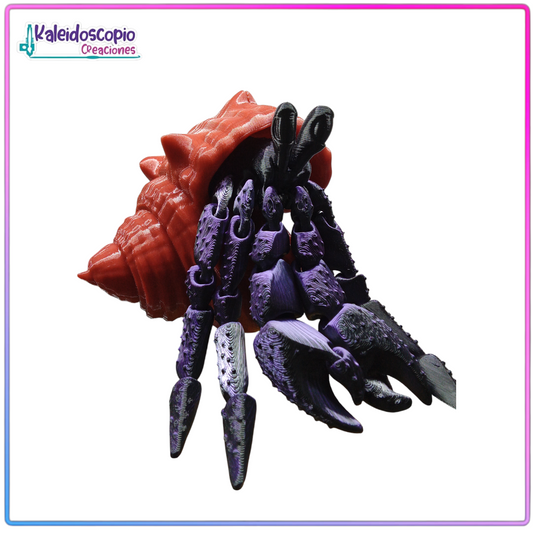 Cangrejo Hermitaño - Flexy