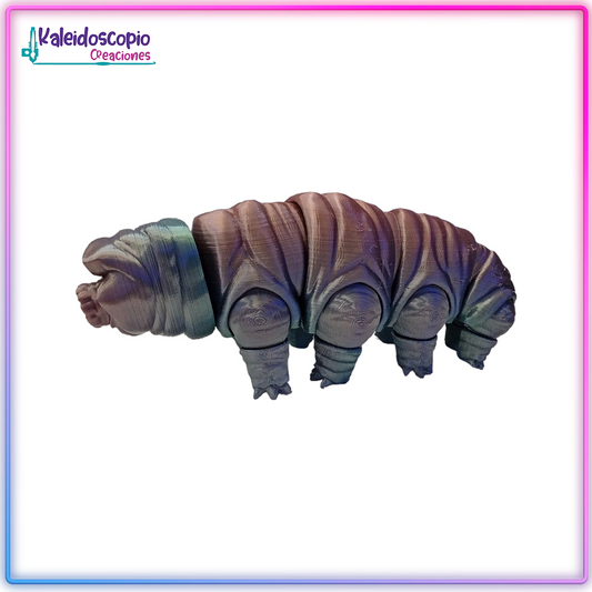 Oso de agua multicolor - Flexy