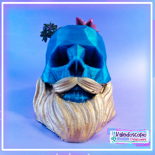 Macetita Craneo Barba dorada