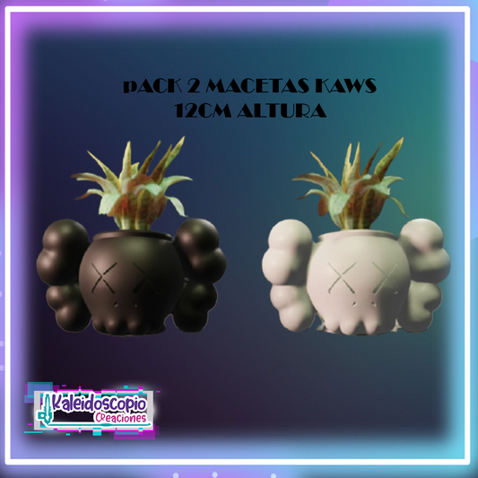 Pack 2 Macetitas Kaws