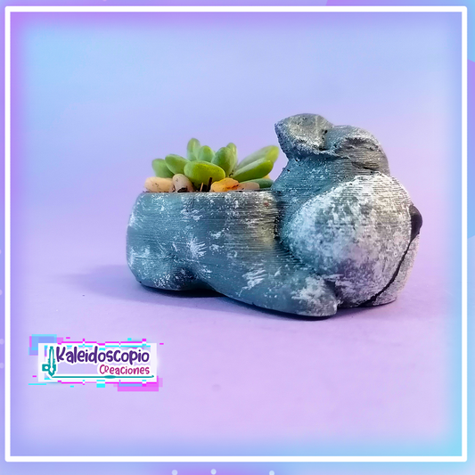 Macetita Perrito Schnauzer