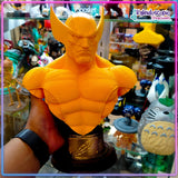 Busto Wolverine - Figura Custom