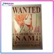 Cartel Se Busca Nami - One Piece