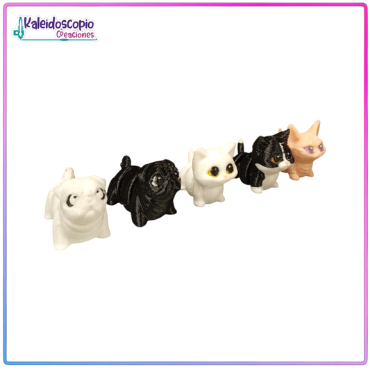 Perros y Gatos Mascotas Flexy